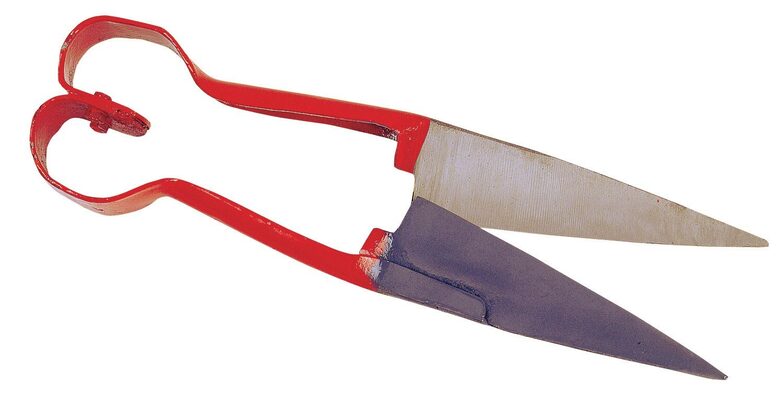 KERBL  dzirkles aitu cirpšanai 